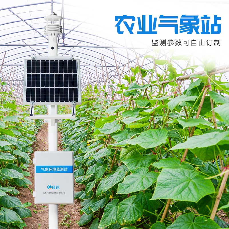 溫室栽培花卉，用農(nóng)業(yè)氣象站調(diào)控小氣候