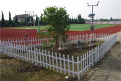 中小學(xué)校園氣象觀測建設(shè)自動氣象監(jiān)測站
